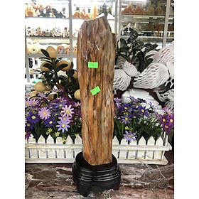 Mua Trụ gỗ hóa thạch phong thủy