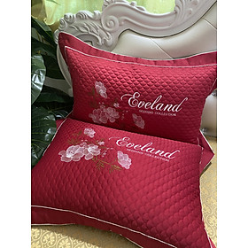 Mua Bộ 2 gối nằm ngủ  gối đầu gồm cả vỏ và ruột kich thước 50x70cm dành cho người lớn( 2 chiếc)