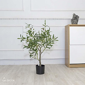 Mua Cây giả - Cây Oliu trang trí Lan Decor 85cm - LC3043