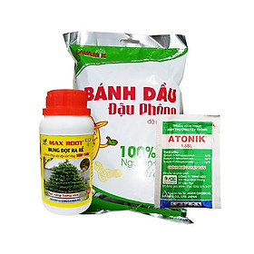 Mua Bộ combo chăm hoa mai kích ra rễ  phục hồi cây mai  cung cấp dinh dưỡng (bánh dầu lavamix 1kg  atonik gói 10ml  bung đọt ra rễ mai 250ml)