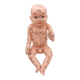 Infant Kid  Point Massage Model Human Body Baby-sitter Nurse Tool