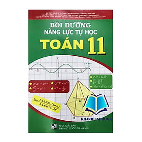 Sách - Bồi dưỡng năng lực tự học Toán 11