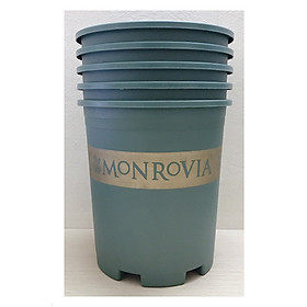 5 Chậu MONROVIA CH Garden 3Gal Màu Xanh