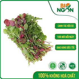 Chỉ Giao HCM - Rau Dền Lam Baby Hữu Cơ Gói 250g