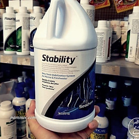 Seachem STABILITY  | Vi Sinh Sống Cho Hồ Cá Thuỷ Sinh