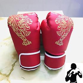 Hình ảnh Găng Tay Boxing Người Lớn AmandaC Life – Găng Tay Đấm Bốc Người Lớn Chính Hãng