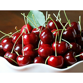 Cherry Đỏ Úc Size 28-30 - Trái căng đỏ, mọng nước, cherry đầu mùa có vị ngọt thanh xen chút chua nhẹ