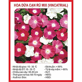 50h Hạt Giống Hoa Dừa Cạn Lùn Đỏ Rose