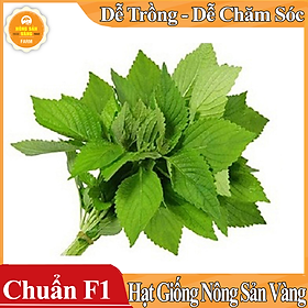Mua Hạt giống Rau Kinh Giới ( Gói 1 Gram ) - Nông Sản Vàng