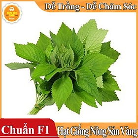 Hạt giống Rau Kinh Giới ( Gói 1 Gram ) - Nông Sản Vàng