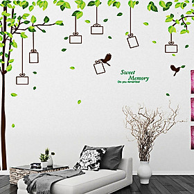 Decal dán tường cây khung ảnh 2 mảnh ay220