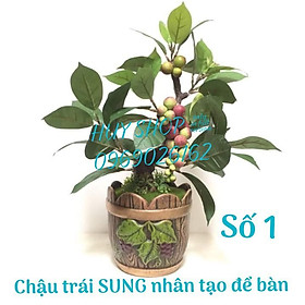 Mua CHẬU CÂY TRÁI SUNG NHÂN TẠO ĐỂ BÀN SỐ 1