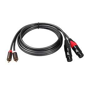 2 RCA to 2 XLR Female Cable for Microphone Mixer, Headphone Amplifier Headphone Amplifier And Other Equipment