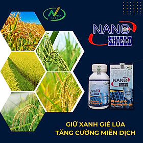 Phân bón lá vi lượng Super-Thives Plus NANO SHIELD giữ xanh gié lúa, tăng cường miễn dịch