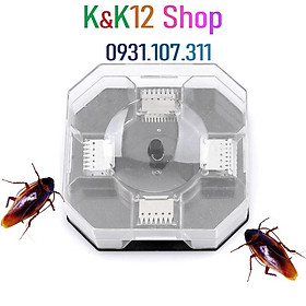 Mua Hộp bắt gián thông minh- Hộp bẫy gián- Hộp bắt gián- Bộ dụng cụ diệt côn trùng thông minh  an toàn môi trường.