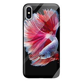 Ốp kính cường lực cho iPhone XS MAX cá 115 - Hàng chính hãng