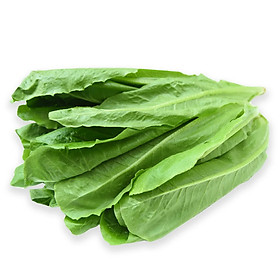 XÀ LÁCH ROMAINE 250G