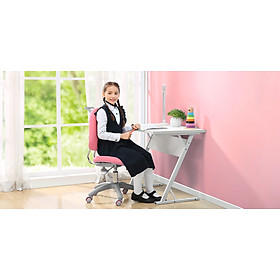 Mua GHẾ CHỐNG GÙ ERGONOMIC K32 - Hồng