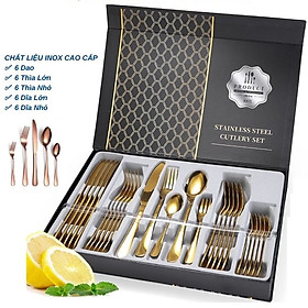 Mua Combo Bộ Dao Dĩa Phong Cách Phương Tây Hiện  Bộ Muỗng Nĩa Phòng Ăn Nhà Bếp Hiện Đại Chất Liệu Inox Màu Vàng  Quà Tặng Tân Gia Sang Trọng