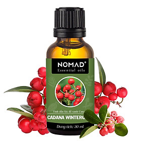 Tinh dầu thiên nhiên ấn độ nomad essential oil blend - tinh dầu xông phòng, thư giản, đuổi côn trùng