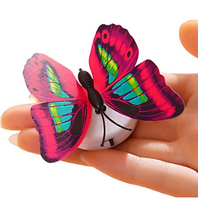 Mua Đèn ngủ dán tường hình bươm bướm độc đáo