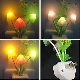 Mua Đèn ngủ cảm ứng hình cây nấm xinh xinh  Đèn ngủ cây nấm cảm ứng sáng tối