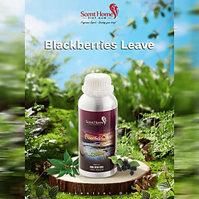 Tinh dầu Scent Homes - mùi hương (Blackberries)