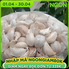 Đặc Sản Hải Dương - Tỏi Hải Dương - Dori Thơm - 1kg - Tỏi bắc củ to cay và thơm - loại tách tép