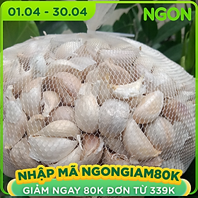 Đặc Sản Hải Dương - Tỏi Hải Dương - Dori Thơm - 1kg - Tỏi bắc củ to cay và thơm - loại tách tép