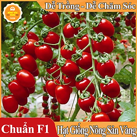 Hình ảnh Hạt giống Cà Chua Cherry Đỏ ( Gói 20 hạt )