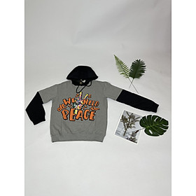 Áo Hoodie DONO HD00302