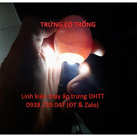 Mua Đèn pin soi trứng
