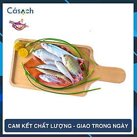 Hỗn hợp cá thiên nhiên - CKFoods - 250 g