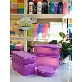 Bộ hộp trữ mát Freshia Collection Purple  TUPPERWARE HÀNG CHÍNH HÃNG