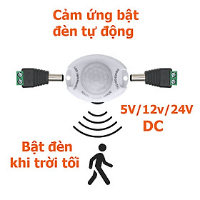 Công tắc cảm ứng chuyển động 12V 24V DC sử dụng điện 1 chiều 