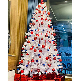 Mua Cây thông noel màu trắng  - Cây thông noel đẹp - Tán dày và đều  cây thông chắc chắn  dể tháo lắp