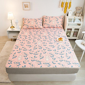 Mua Chiếu Điều Hòa Cao Su Non 2D An Tây  Chiếu Điều Hòa Tencel Hàng Loại 1