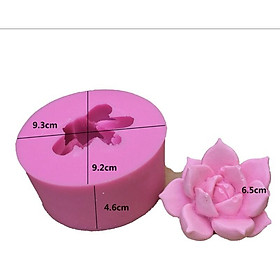 Mua Khuôn silicon 4D rau câu hoa sen đá đại