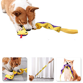 Dog Sniffing Toy Foraging Instinct Training Dog Feeding Toy Game