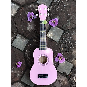 Mua Đàn Ukulele màu hồng (SOL.G)