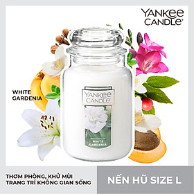 Nến hũ Yankee Candle  - White Gardenia - L (623g)