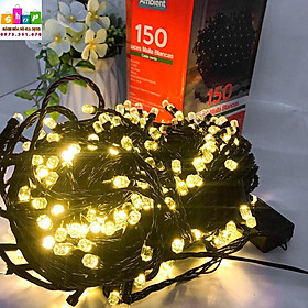 DÂY ĐÈN NHÁY LED Trang Trí 50 Mét, Đèn LED KIM CƯƠNG CUỐN CÂY CAO CẤP