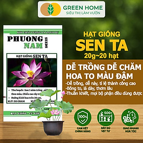 Mua Hạt Giống Hoa Sen Ta GreenHome  Gói 20 Gram  Dễ Trồng  Nảy Mầm Tốt  Bông To  Lá Dày H10