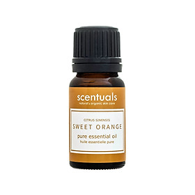 Tinh dầu cam ngọt - Pure essential oil 10 ml - SWEET ORANGE