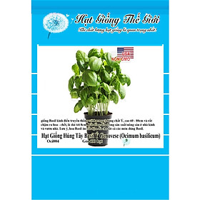 Mua 400h Hạt Giống Rau Thơm - Húng Tây Basil Ý Genovese (Ocimum basilicum)