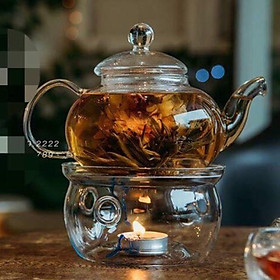 Mua Ấm pha trà kèm bếp