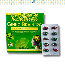 Viên uống tăng cường tuần hoàn máu não GINKO BRAIN 120