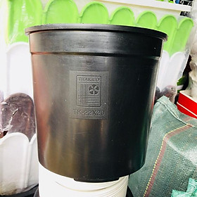 Chậu Nhựa Gallon Đen Mẫu Mới THAKICO + Tặng kèm đĩa Lót - Trồng cây gì cũng đẹp