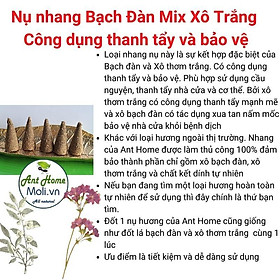 Nhang nụ xô trắng mix bạch đàn cao cấp thanh tẩy và bảo vệ nhà cửa