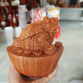 Cóc Thiềm Thừ Đứng Thỏi Vàng Cao 13 cm | Rộng 12 cm | Sâu 10 cm